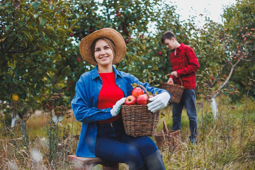  Botanivaalc  Harvest and Care Service