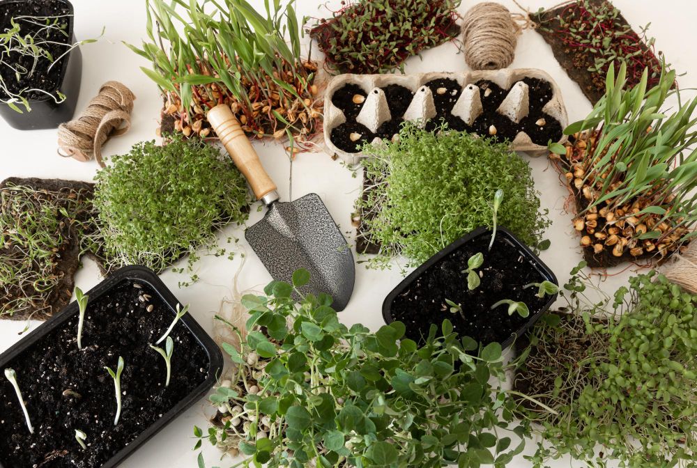 Botanivaal: Natural Garden Mastery